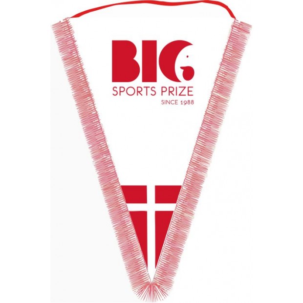 Silkevimpler # 1 farvet tryk # 120 x 190 mm